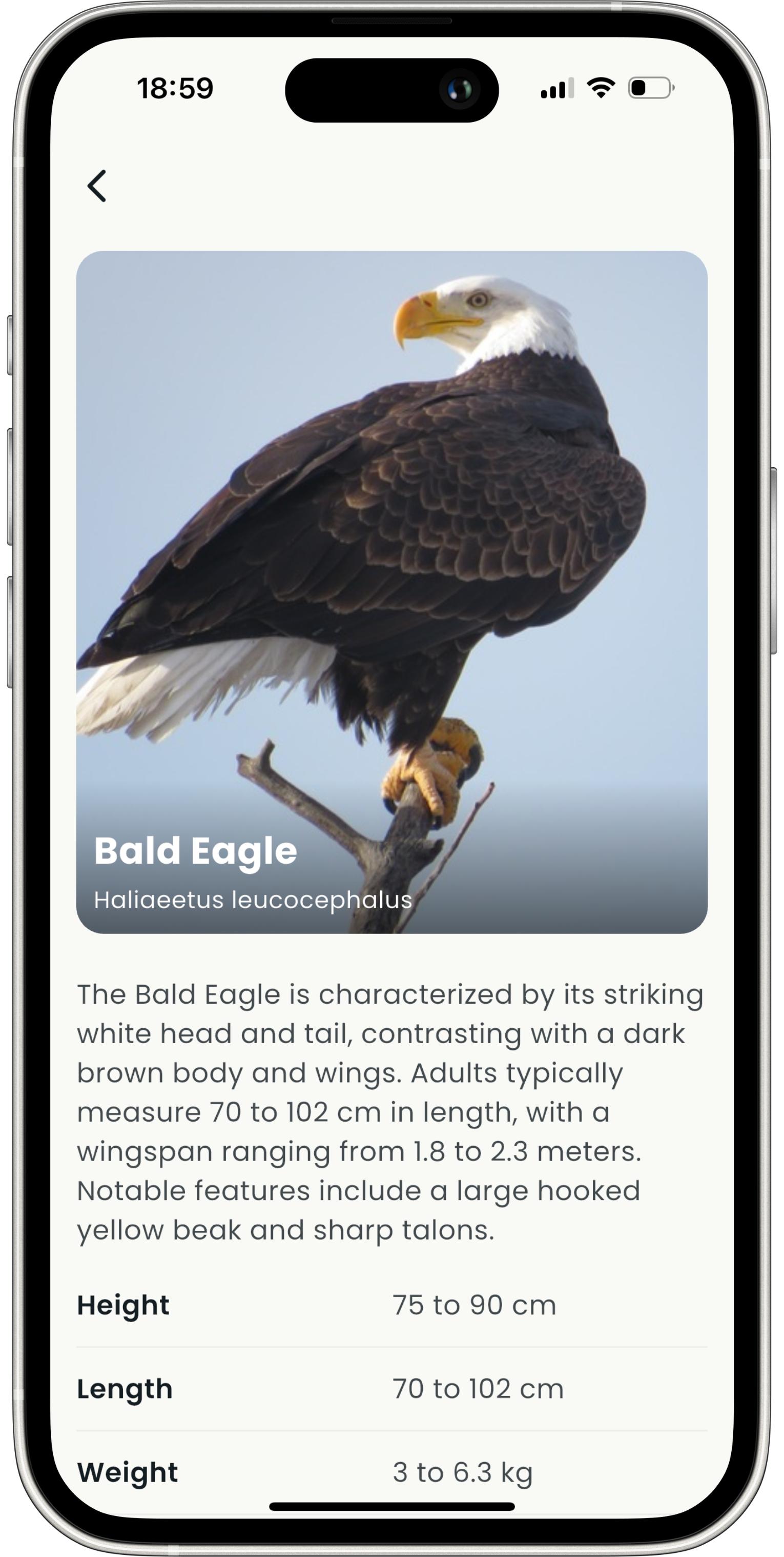 Clear History & Helpful Insights - Finwise financial management feature